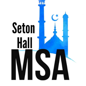 Seton Hall MSA